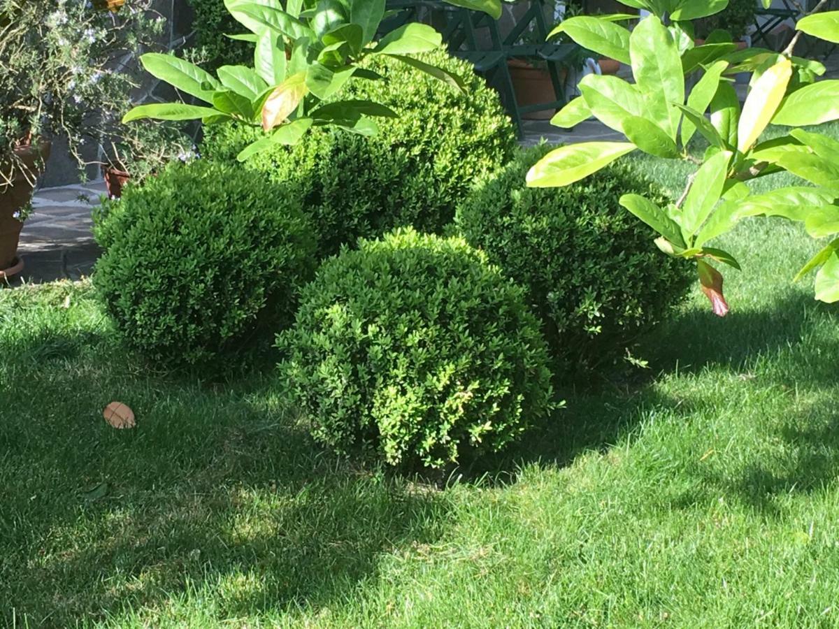 House&Garden San Donato Milanese Exterior foto